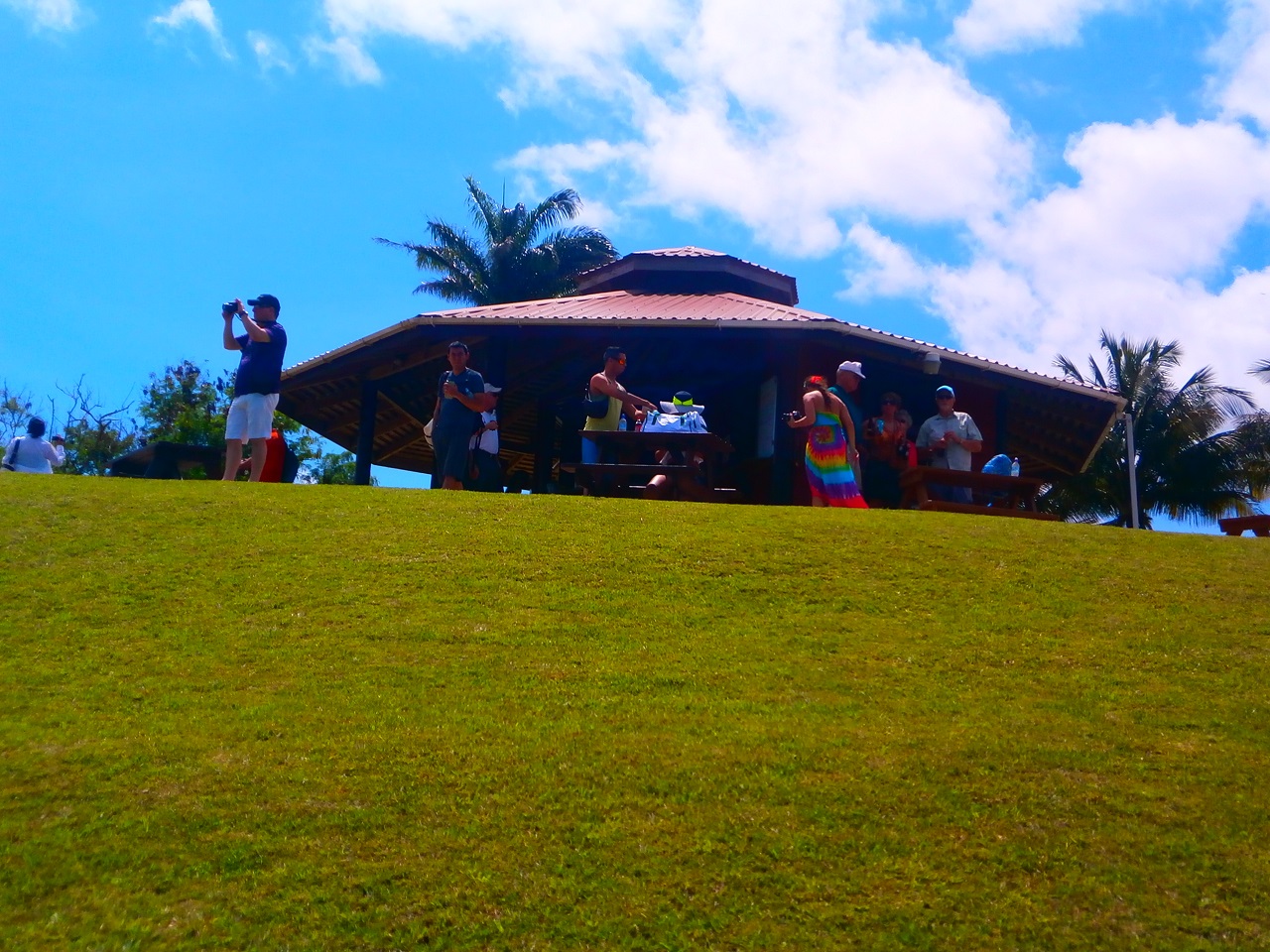 Explore the Caribbean Diamond scenic Barbados MY WORLD FOSS